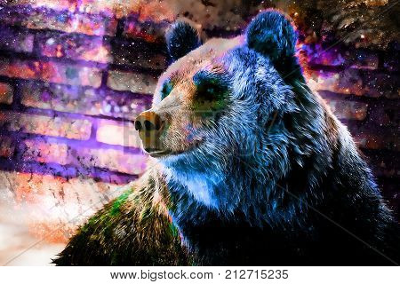 mighty bear in space. Photos with graphic effect. Computer collage. Cosmic space