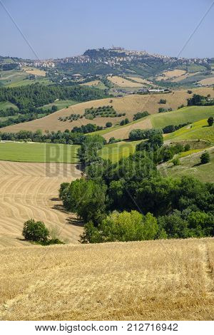 Rural landscape at summer along the road from Fermo to Monterubbiano (Marches italy)