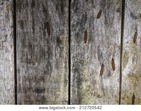 Old realistic rusty antique nails on the wooden timber background, picture