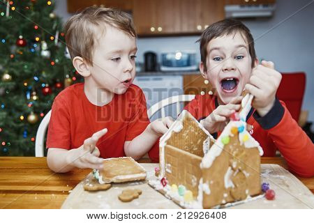children eat gingerbread house and have fun. two cute boys enjoy Christmas traditions. Kids broke a gingerbread house