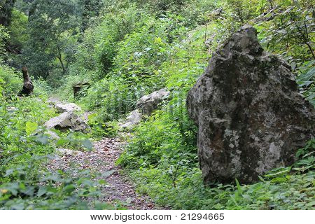 Sattal 트레킹 코스