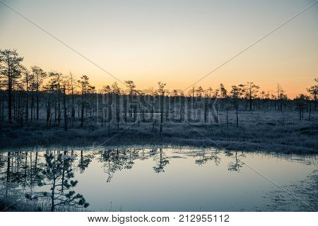 A beautiful morning landscape in a frozem swamp. A small swamp ponds in autumn. Quagmire un wetlands with reflections. White frozem grass.