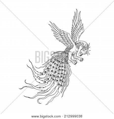 Drawing sketch style illustration of a Simorg,Simurgh, simorg, simurg, simoorg, simorq or simourv, a mythical bird in Iranian Persian mythology that has a head of a wolf, with beak of eagle, legs of lion and tail of a peacock.