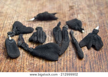 xylaria polymorpha fungus also known as dead man's fingers