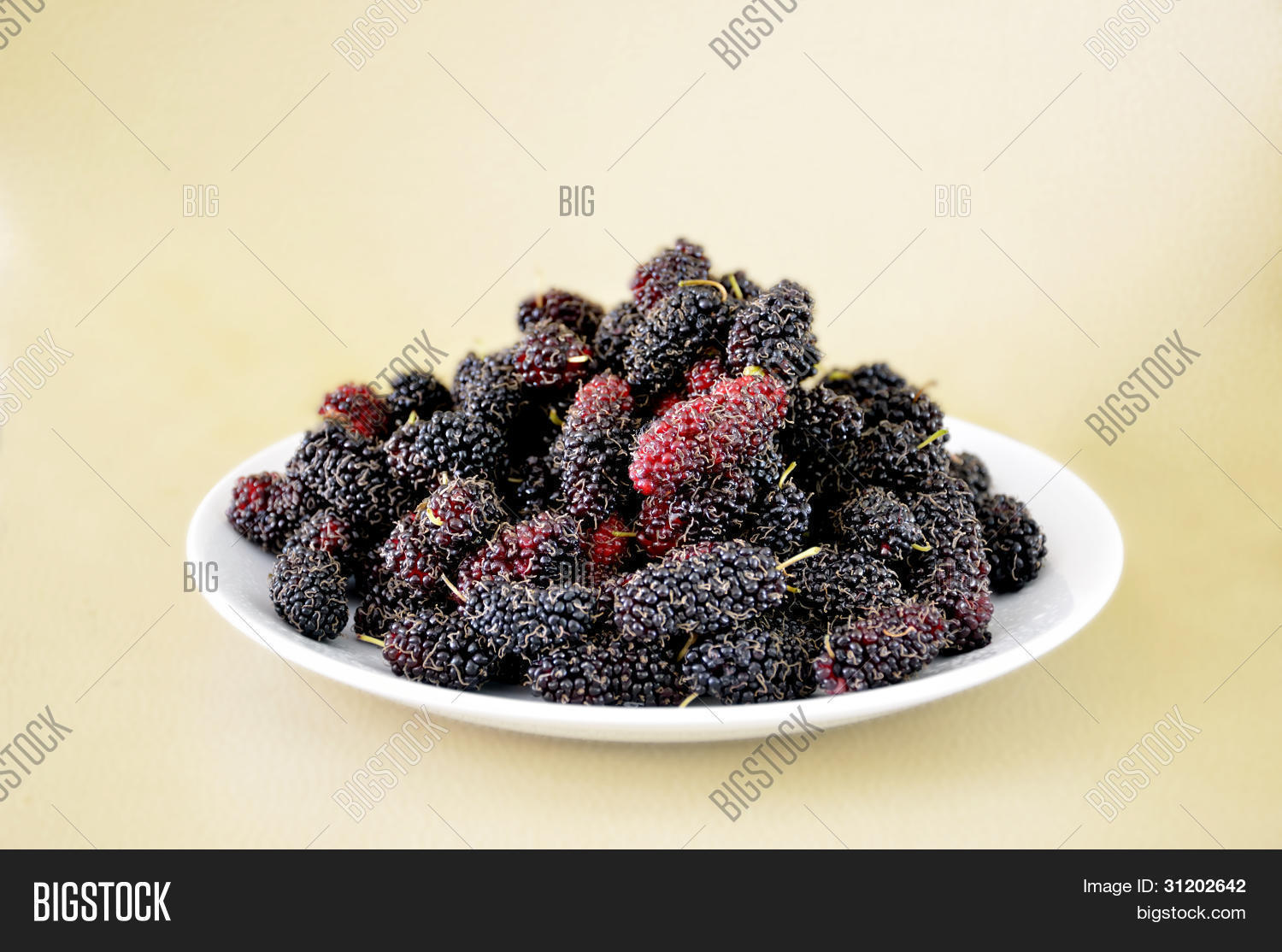 Mulberries Image Photo Free Trial Stock Mulberries Image Photo Free Trial