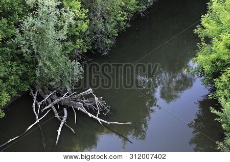Quiet Summer Evening On The River. Reflection Of A Green And Sunken Tree Branches In The Mirrored Su