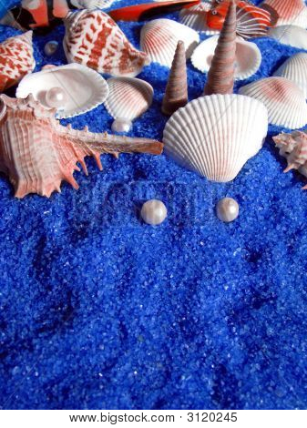 Shells And Pearls