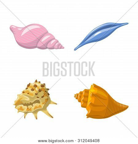 Isolated Object Of Seashell And Mollusk Sign. Set Of Seashell And Seafood Stock Vector Illustration.