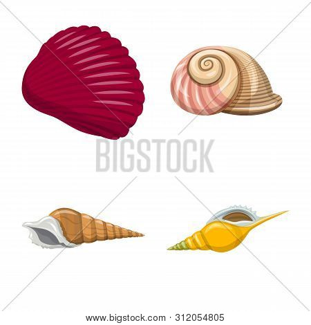 Vector Design Of Seashell And Mollusk Sign. Set Of Seashell And Seafood Vector Icon For Stock.