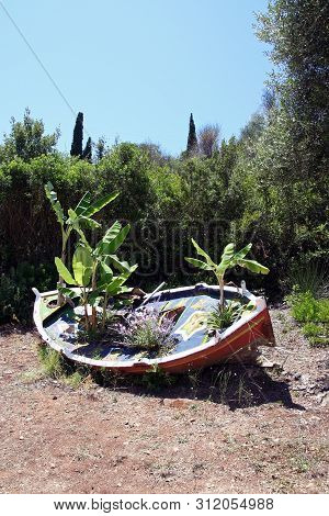 Old Marine Boat Used As Flowerpot. Old Boat.