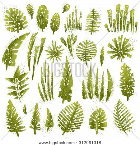 Tropical Textured Leaves Set With Expressive Watercolor Splashes And Grunge Texture. Isolated Elemen