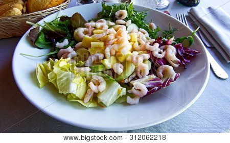 Fresh Salad With Shrimps, Chicory And Cucumbers