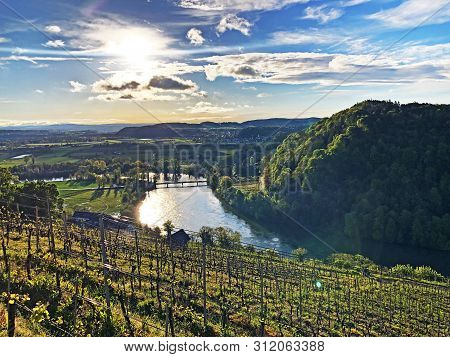 Photogenic Vineyards And Lowland Forests In The Rhine Valley, Buchberg - Canton Of Schaffhausen, Swi