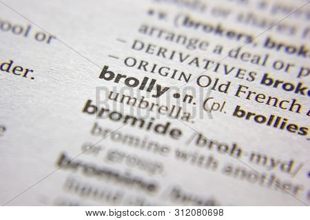 Word Or Phrase Brolly In A Dictionary