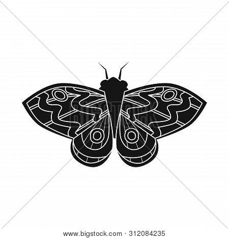 Vector Illustration Of Butterfly And Elegant Icon. Collection Of Butterfly And Vivid Vector Icon For
