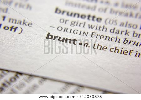 Word Or Phrase Brunt In A Dictionary
