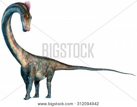 Barosaurus From The Jurassic Era 3d Illustration