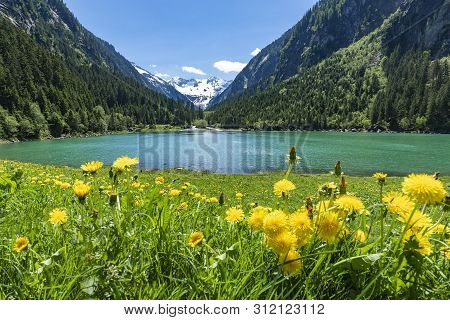 Mountains And Lake Landscape With Flower Meadows In Early Summer. Austria, Tyrol, Stillup Lake, Zill