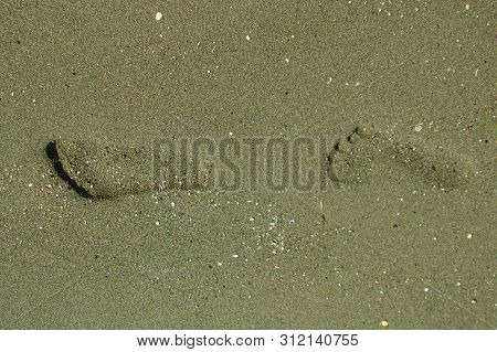 Close-up Of Two Distinct Footprints On The Wet Darc Sand At The Beach