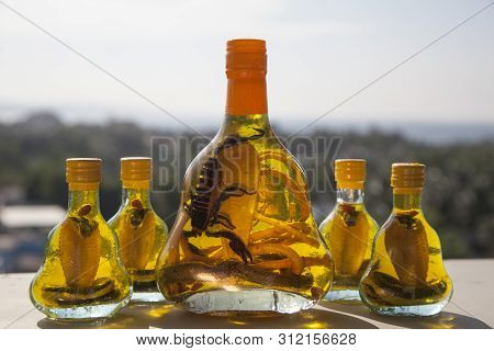Traditional Alcoholic Drink With A Snake And A Scorpion In Vietnam