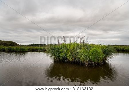 Beautiful Wetland In The Natural Park Of Saint Lyphard (france)