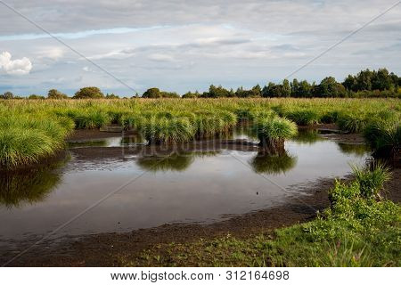 Beautiful Wetland In The Natural Park Of Saint Lyphard (france)