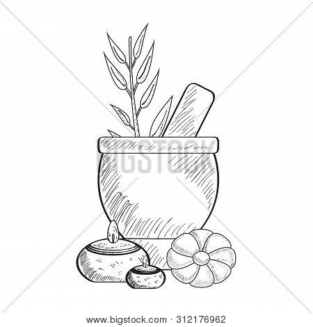 Sketch Of Spa Objects. Mortar With Pestle, Cnadles, Wheat And Flower - Vector