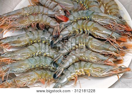 Big Tiger Prawns Seafood Crustaceans In Plate