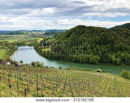 Photogenic Vineyards And Lowland Forests In The Rhine Valley, Buchberg - Canton Of Schaffhausen, Swi