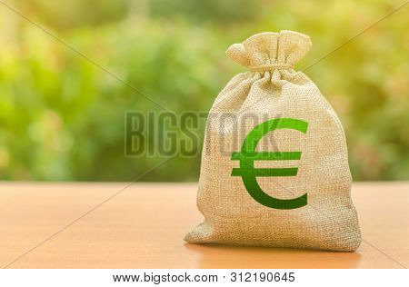 Money Bag With Euro Symbol On A Nature Background. Business, Budget, Financial Transactions. Availab