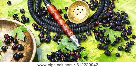 Arabia Shisha With Black Currant