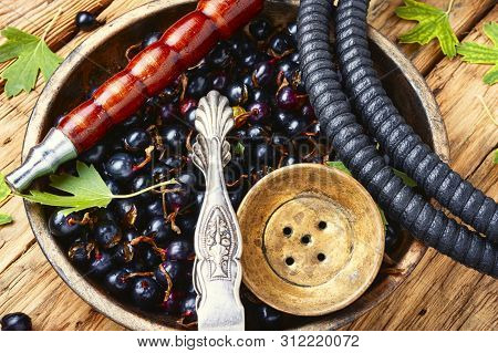Arabia Shisha With Black Currant
