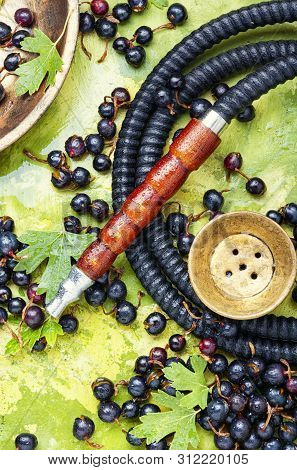 Arabia Shisha With Black Currant