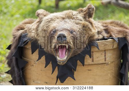 Stuffed Huge Bear With Open Mouth Bear Skin With Head