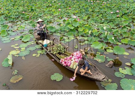 Vietnamese Boy Playing With Mom Boating The Traditional Wooden Boat For Keep The Pink Lotus In The B