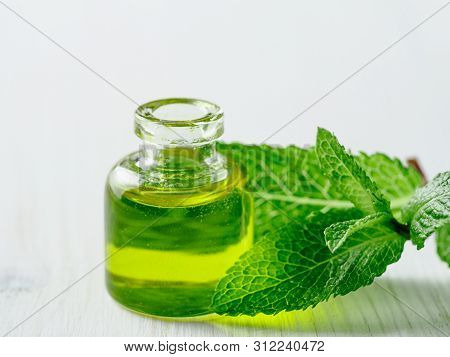 Organic Essential Mint Oil Or Melissa Oil With Green Leaves Of Mint. Mint Melissa Oil On White Woode