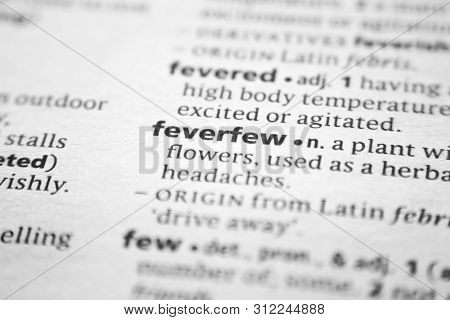 Word Or Phrase Feverfew In A Dictionary