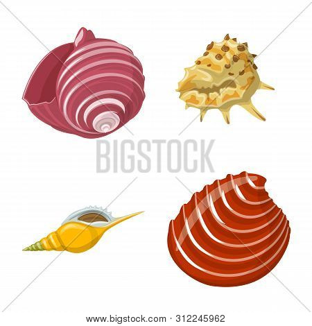 Vector Design Of Seashell And Mollusk Symbol. Set Of Seashell And Seafood Vector Icon For Stock.