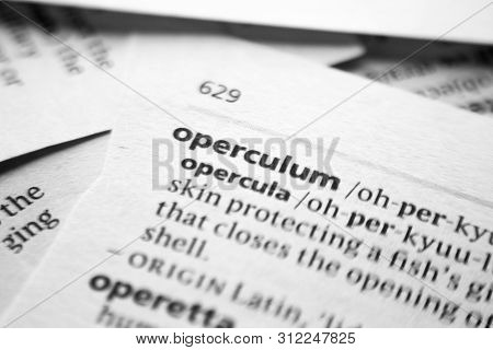 Word Or Phrase Operculum In A Dictionary