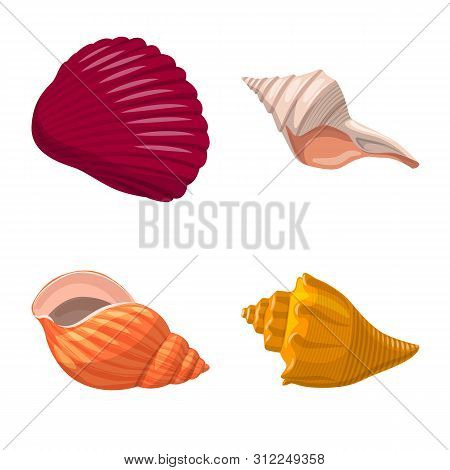 Isolated Object Of Seashell And Mollusk Sign. Collection Of Seashell And Seafood Stock Vector Illust