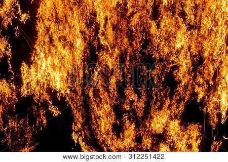 Fire - Steel Wool Burning, Oxidizing, Smoldering.