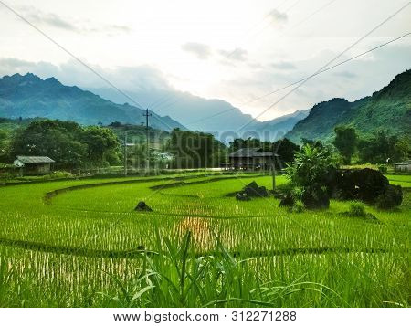 Bright Green Rice Fields Surrounded By Local Village And High Mountains. Travel And Explore The Worl