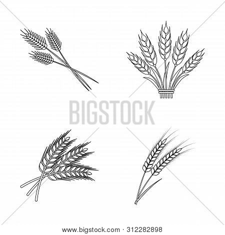 Bitmap Design Of Wheat And Stalk Symbol. Set Of Wheat And Grain Stock Symbol For Web.