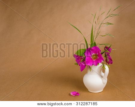Flowers And Leaves Of Dog Rose And Some Meadow Grass In Little White Ceramic Jug And Lone Doge Rose 