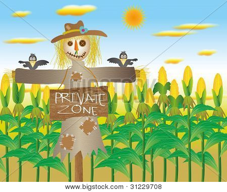 Spaventapasseri nel campo di zona privata grano con i corvi