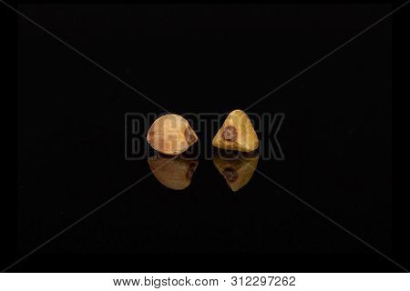 Group Of Two Whole Raw Brown Buckwheat Grain Isolated On Black Glass