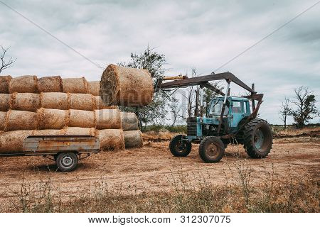 Agricultural Machinery In Beveled Gold Field Moves The Hay Bales After The Harvest Of Crops. Tractor