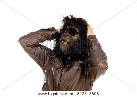 Man with gorilla head isolated on a white background