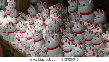 Gotokuji Shrine with lots of cat statues