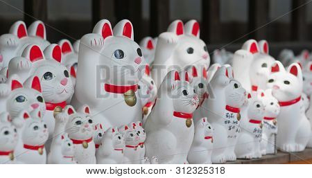 Gotokuji Shrine with lots of cat statues